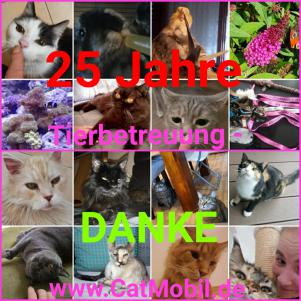 25 Jahre CatMobil Fürth - Tierbetreuung - Haussitter - Katzenbetreuung - Bewässerung - www.CatMobil.com